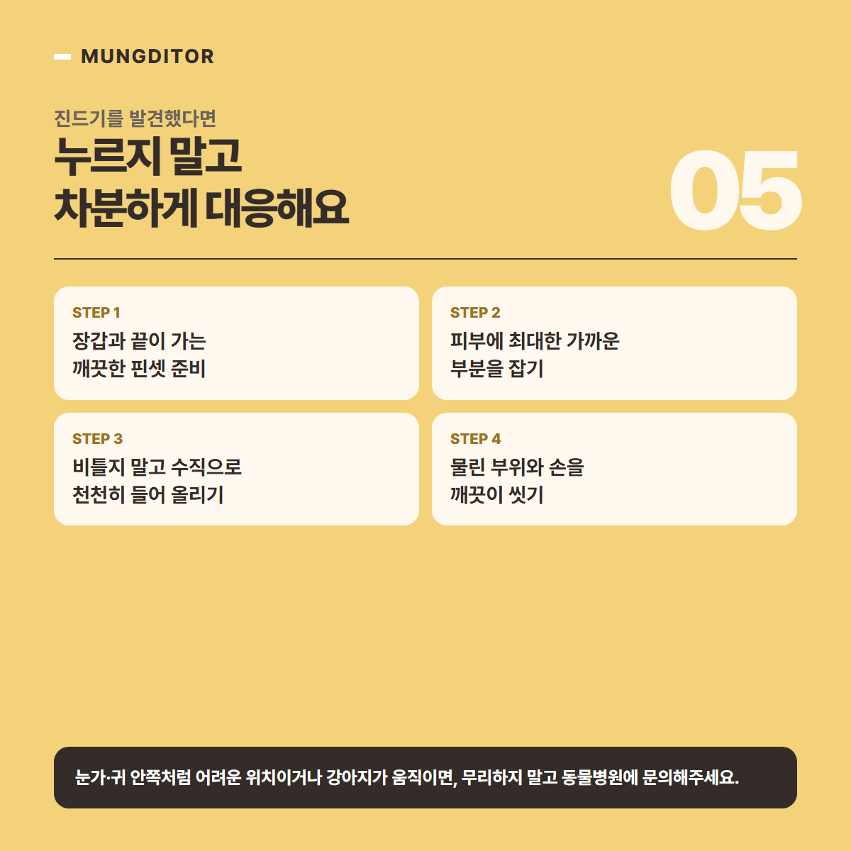 강아지 몸에서 진드기를 발견했을 때의 대응 순서를 정리한 정보 카드