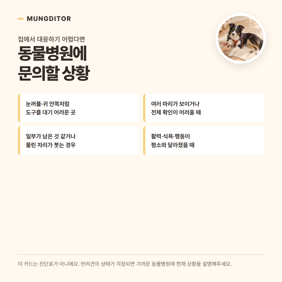 진드기 노출 뒤 동물병원에 문의할 상황을 정리한 정보 카드